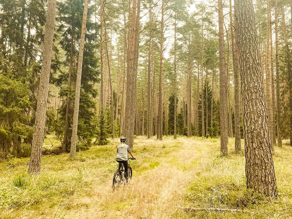 KipRoadtrip-MTB-polen