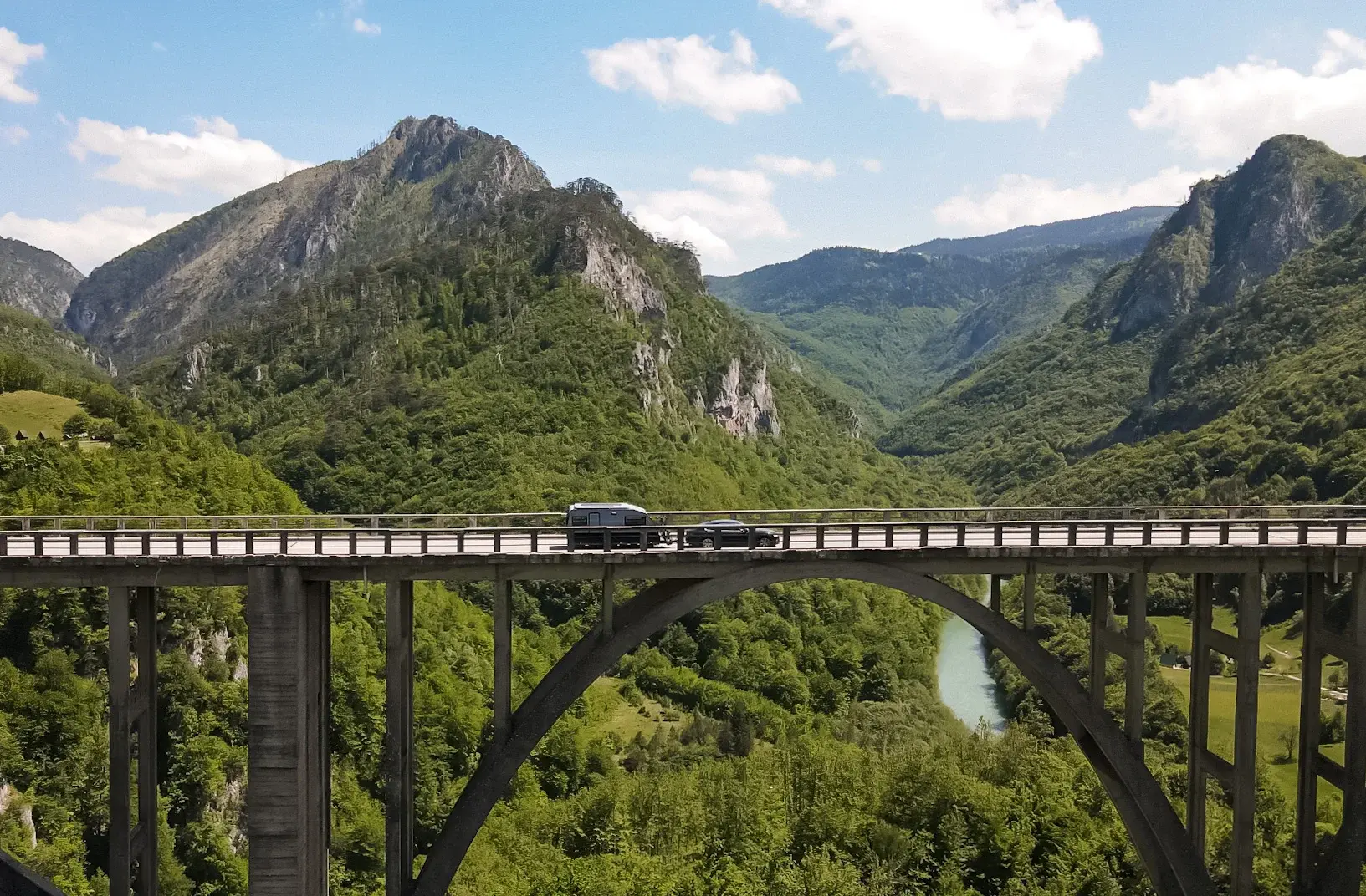 Tara Bridge