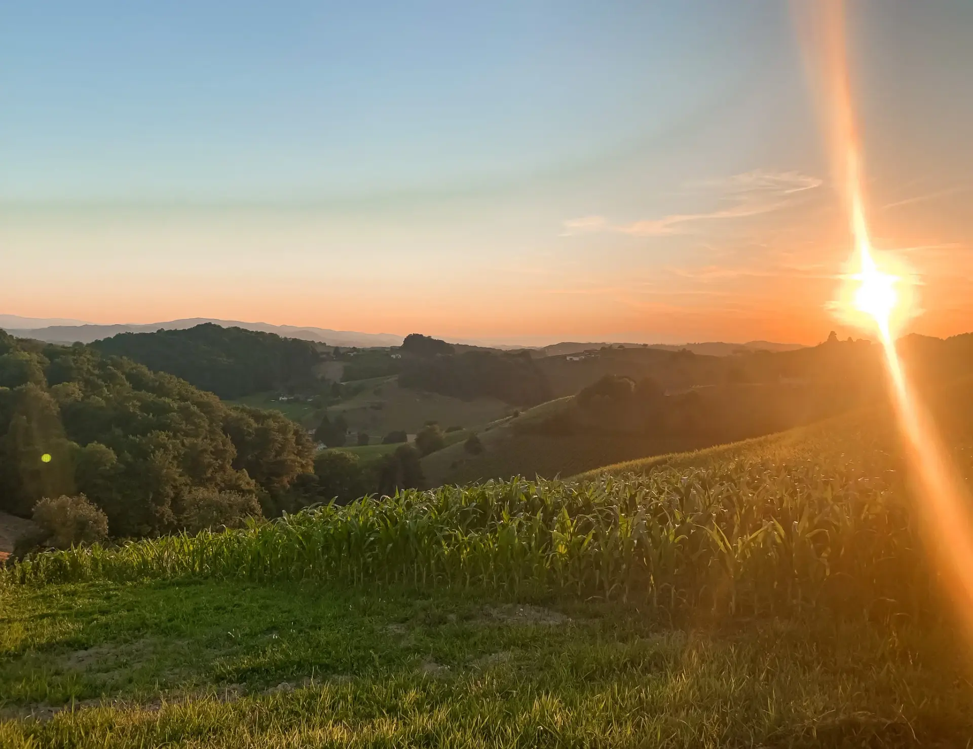 roadtrip-slovenië.jpg